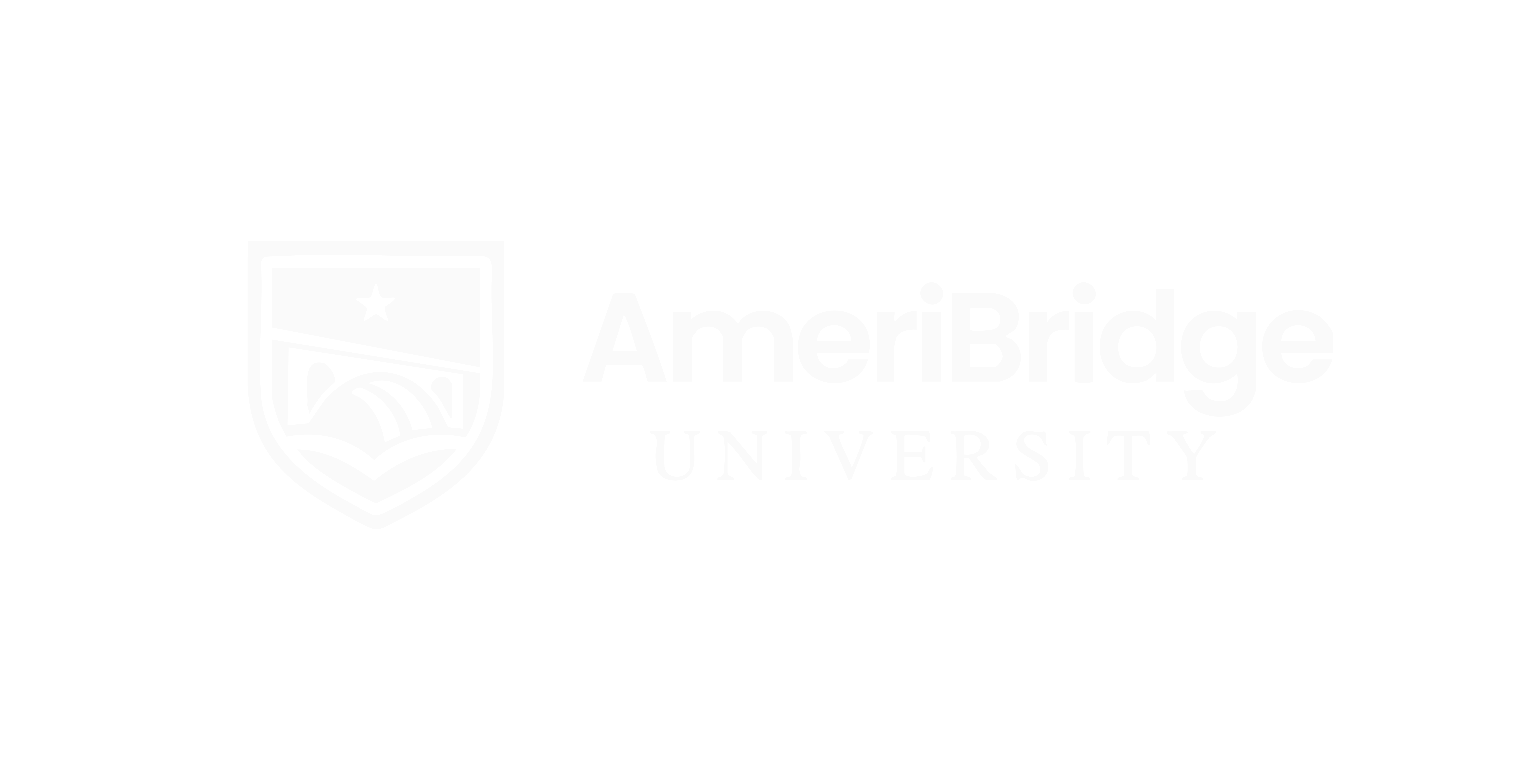 AmeriBridge University